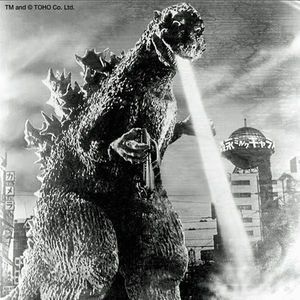 Meet your Posher, Mandy